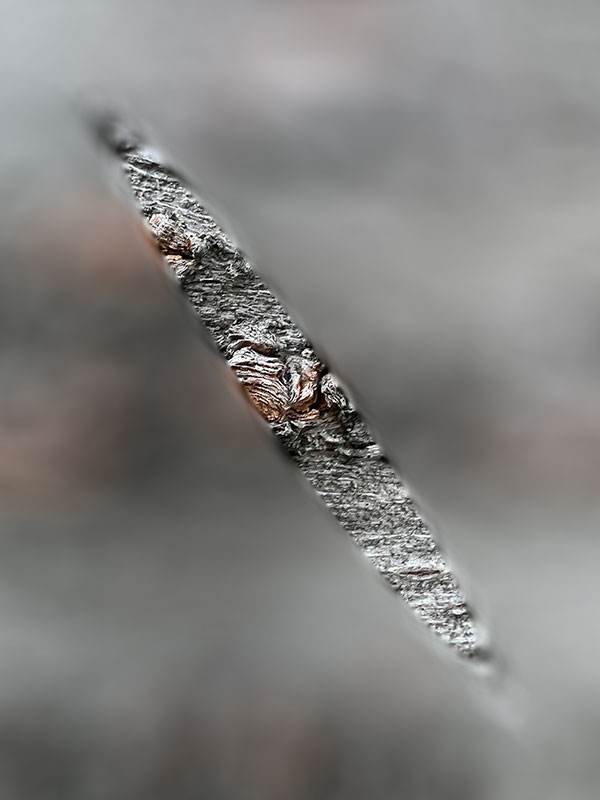 Bio-inspired Design: 자연물의 유기적 패턴과 구조(Structure)에 관한 심층 관찰