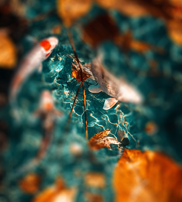 Digital Process: AI 알고리즘을 활용한 이미지 생성 및 변형(Variation) 프로세스